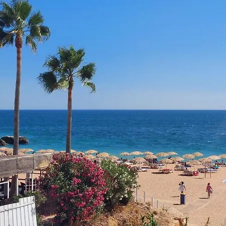 3 Bedroom In Oura With Amazing Pool At Walking Distance To Beach, Strip And Old Town, Wifi And Ac, Private Appartement Albufeira